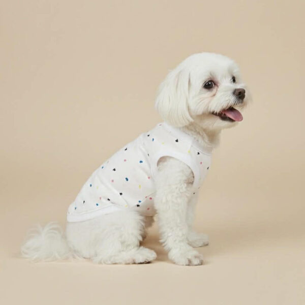 Small white dog wearing a cute white polka dot shirt.