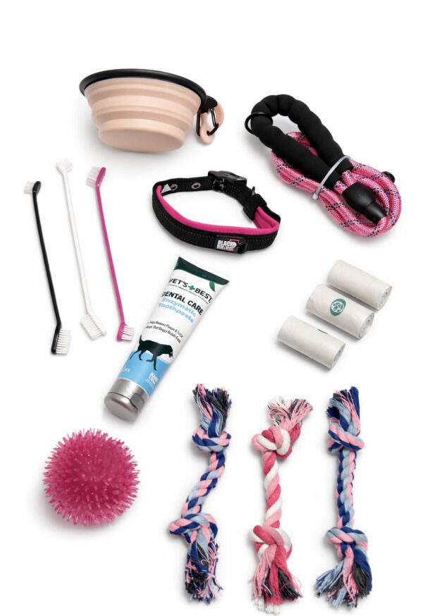 A collection of dog grooming and training tools arranged on a white background.