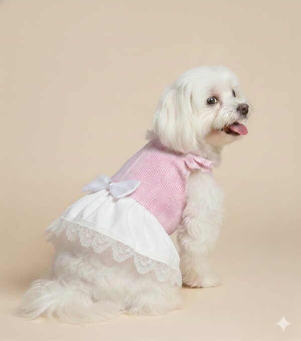 Small white dog in a pink dress with lace sitting on a beige background.