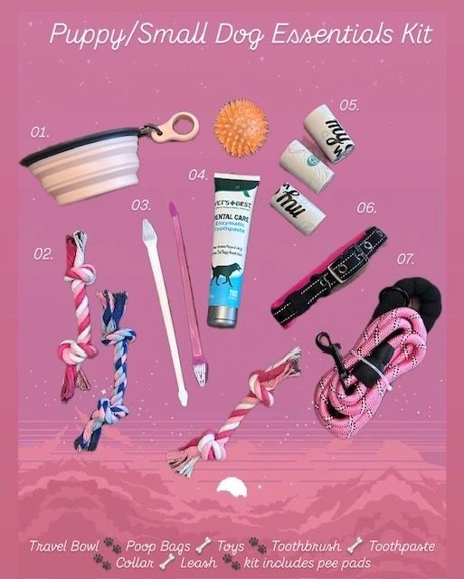 Dog essentials kit with pink background