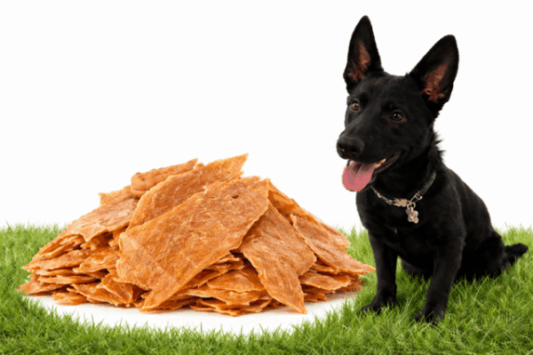 Black dog sitting near a pile of dried meat treats on grass.