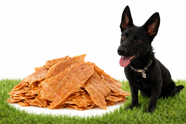 Black dog sitting near a pile of dried meat treats on grass.